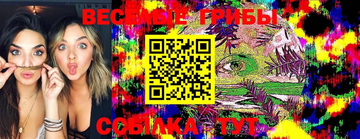 Галлюциногенные грибы Cubensis Махачкала